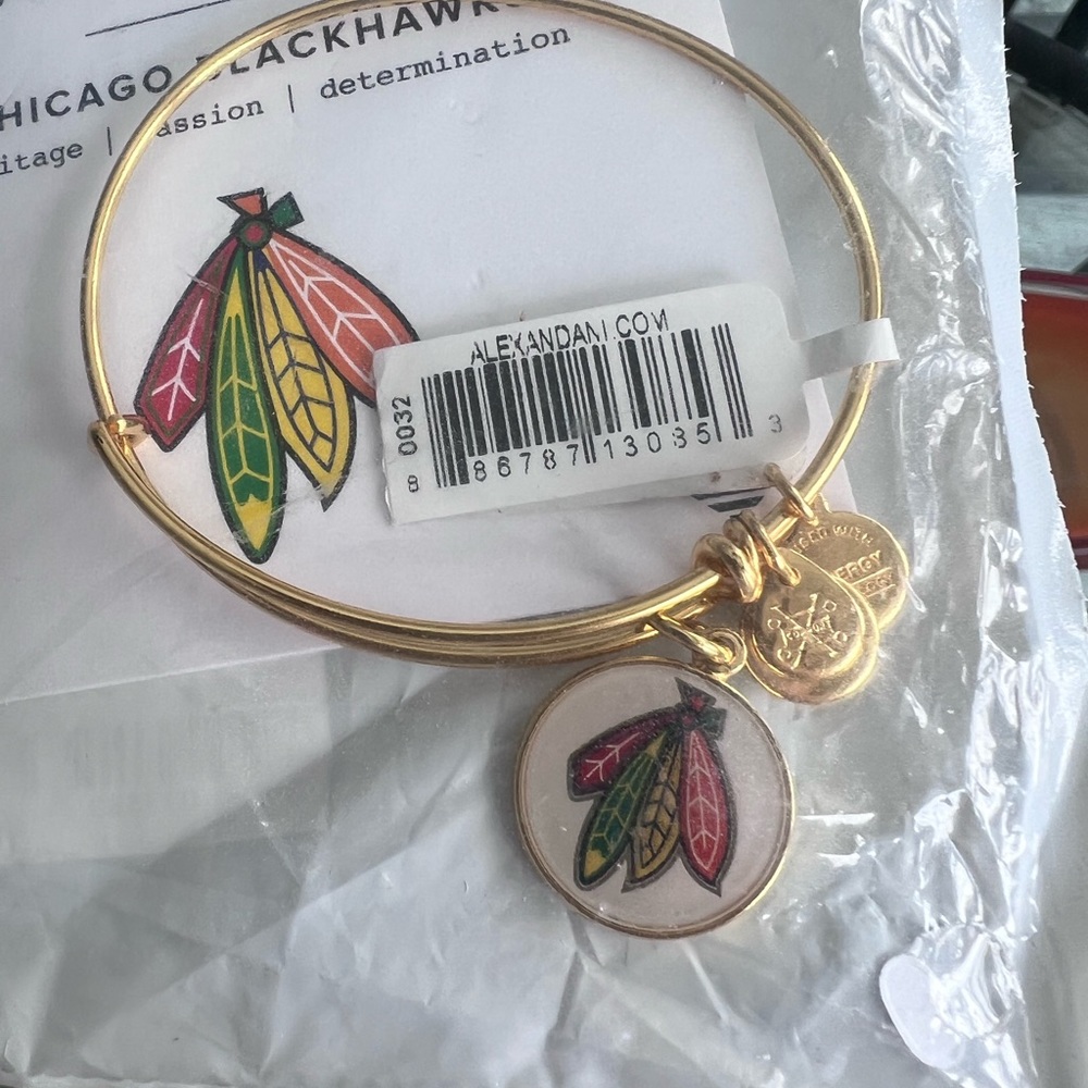 Alex and Ani Chicago Blackhawks Gold charm bangle.